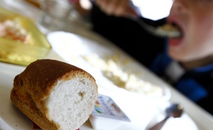 Toulouse, le 18 décembre 2012. Cantine du groupe scolaire Jean Jaurés pour les primaires.