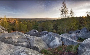Le classement de la forêt la soumettrait à des réglementations contraignantes.