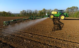 Un champ arrosé de glyphosate en France (image d'illustration).