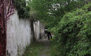 Site des murs à pêches, Montreuil.