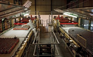 L'usine Coca-Cola de Bierne-Socx produit 400 millions de canettes par an.