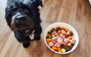Les repas maison pour chien sont-ils vraiment plus sains et meilleurs pour sa santé ?