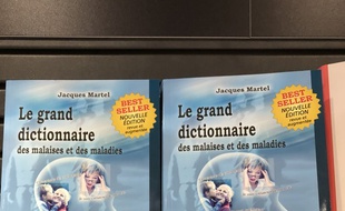 Le «dictionnaire des malaises et maladies», coup de cœur de la FNAC, qui explique les raisons qui poussent à devenir homosexuel...