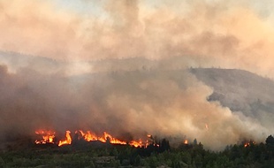 Plus de 500 ha sont partis en fumée dans un incendie près de Carcassonne le 14 août 2019.