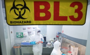 Une étrange pneumonie alerte l'Asie en ce moment