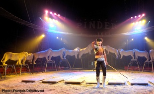 A Bordeaux, le 27 aout 2014, le cirque pinder s'installe a bordeaux du 2 au 14 septembre.