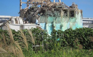 L'opérateur de la centrale accidentée de Fukushima a annoncé vendredi avoir installé une deuxième caméra pour permettre de regarder en direct via internet une partie de la situation dans la centrale accidentée.