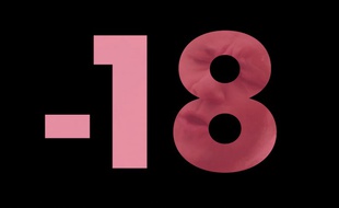 Image extraite du site «Le meilleur du X est parti sur Canal»