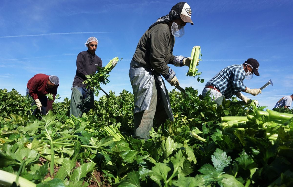 Etats-Unis : Avec 1,2 million de travailleurs immigrés en moins, l'économie américaine se retrouve fragilisée