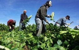 L’économie américaine fragilisée par la perte de 1,2 million de travailleurs immigrés