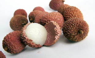 Litchis (illustration)