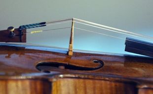 Touches de piano en ivoire, guitares en bois rares ou parties d'archets de violon en écailles de tortues : les instruments anciens contenant des espèces végétales ou animales protégées pourront désormais voyager plus facilement grâce à un passeport personnalisé.