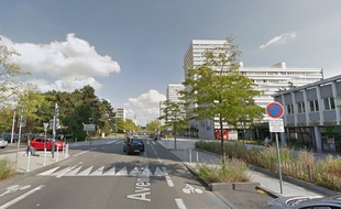 L'avenue Robert Schumann à Mons-en-Barœul.
