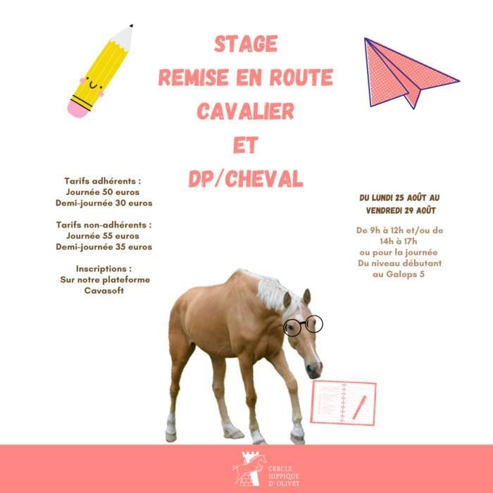 Stages d'équitation double poney et cheval