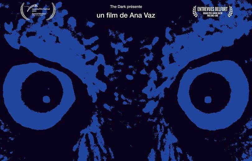 « Il fait nuit en Amérique » synopsis et bandeannonce