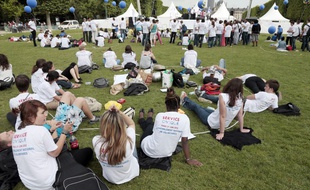 Des jeunes en service civique sur le champ de Mars (image d'illustration).