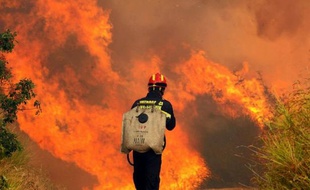 Une centaine de militaires croates, appuyés par trois avions Canadair, se sont joints mardi aux pompiers pour maîtriser un incendie de forêt qui fait rage depuis la veille sur la côte adriatique du nord de la Croatie
