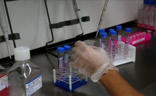 Une manipulation dans un laboratoire.