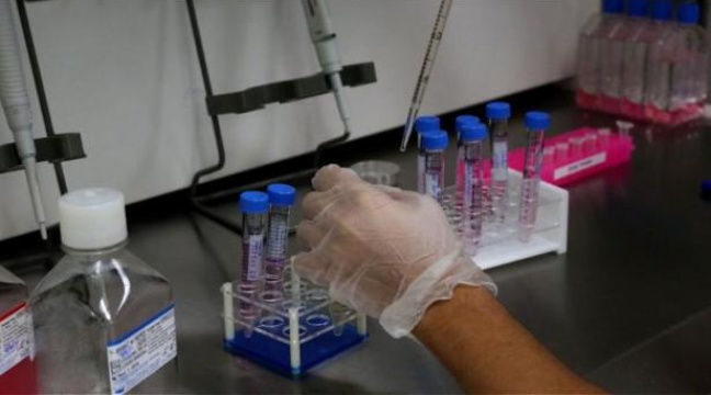 Les ovules brevetables pourvu qu'ils ne puissent devenir des êtres humains