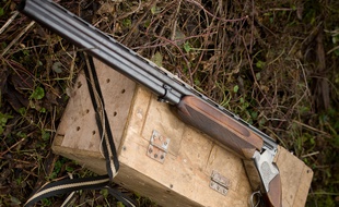 Un fusil. Illustration.