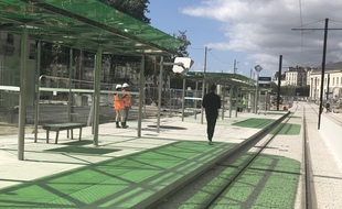 Les tramways reprennent du service à la station Commerce, entièrement rénovée (le 27 août 2021