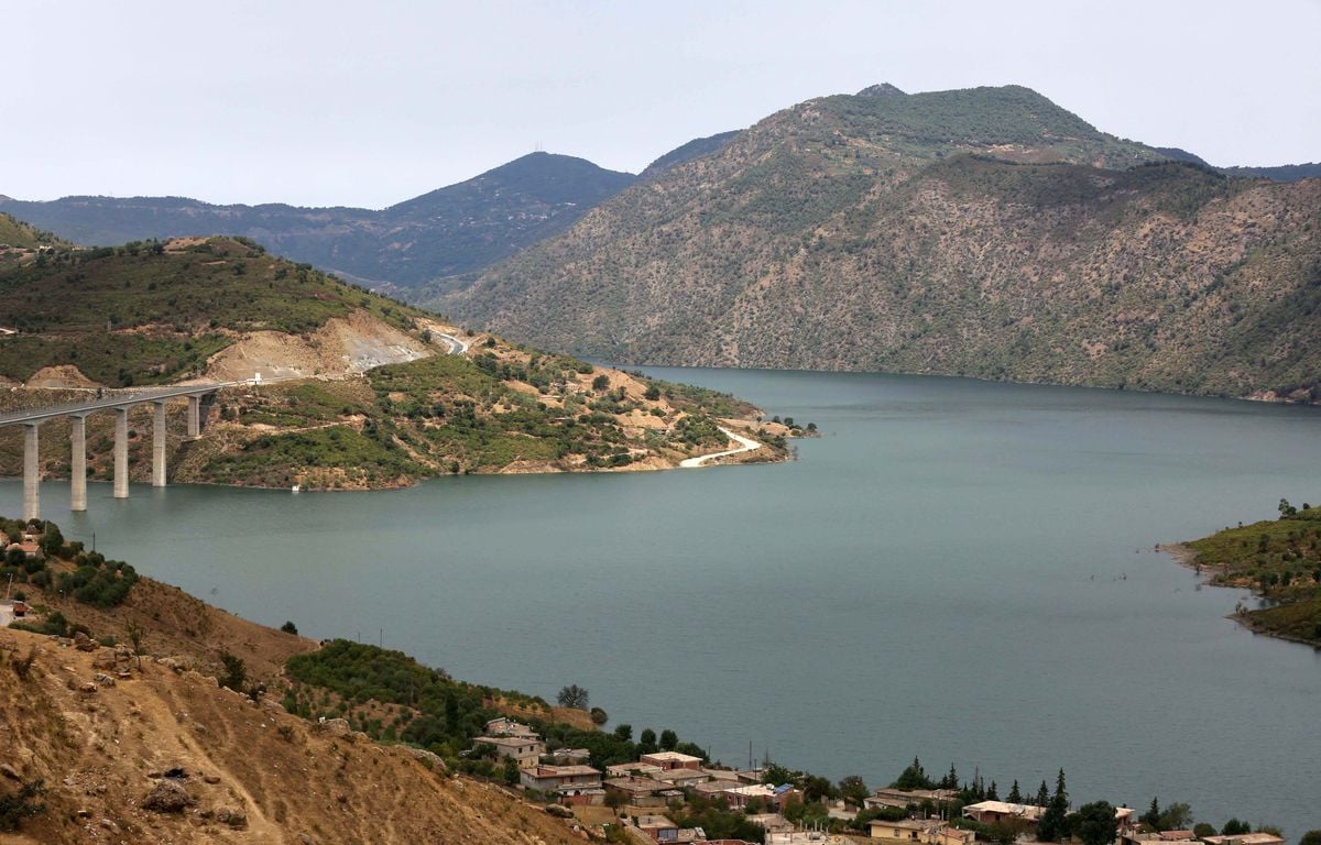 Quatre morts dans un accident d'avion en Algérie