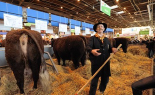 Un éleveur de vaches Salers au salon de l'agriculture à Paris, en février 2011.