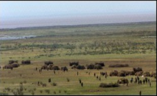 L'ambassadeur de France en Ethiopie Stéphane Gompertz a affirmé vendredi à l'AFP que les touristes occidentaux disparus dans le nord de l'Ethiopie avaient été enlevés.