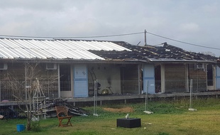 Neuf logements ont été la proie d'un incendie. Ils sont inutilisables.