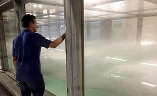 Brian Haus, professeur à l'Université de Miami observe le plus grand simulateur d'ouragan du monde, à Miami le 30 avril 2015