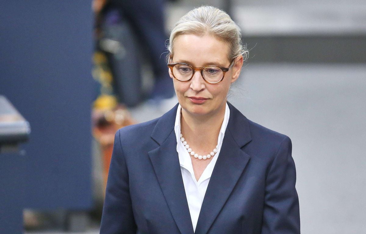Allemagne : Comment la mort de six candidats du parti l'AfD alimente les conspirationnistes