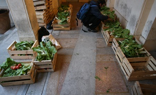 Illustration d'une distribution d'une Amap dans le centre de Toulouse.
