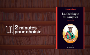 «La Théologie du sanglier».