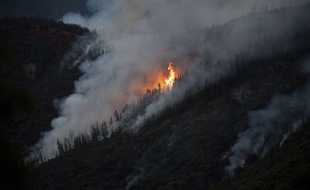 Le feu a démarré dans le comté de Mariposa, vendredi 13 juillet.