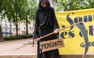 Manifestant contre le groupe Bayer-Monsanto le 18 mai 2019 à Paris