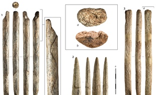 Exemples d’objets fabriqués en os de baleine retrouvés dans les collections archéologiques
du nord de l’Espagne. 1 : El Pendo (Cantabrie), 2 : Ermittia (Guipuscoa), 3 : Tito Bustillo (Asturies), a
et b: zoom sur la matière.