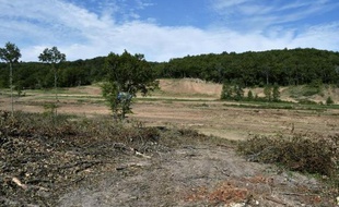 Le site du futur barrage de Sivens, à Lisle-sur-Tarn, le 14 septembre 2014