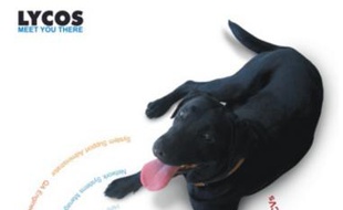 Le labradoir noir, symbole et logo du portail Lycos