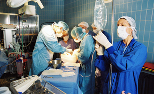 Illustration d'une transplantation en bloc opératoire.