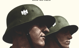 Couverture du livre Les raisins du Reich, d'Antoine Dreyfus