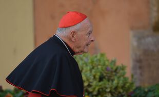 Theodore McCarrick, cardinal défroqué, en 2013.