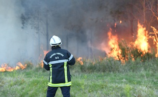 1000 hectares de forêt ont déjà été détruits.
