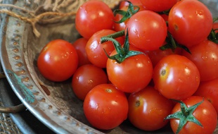Des tomates, illustration