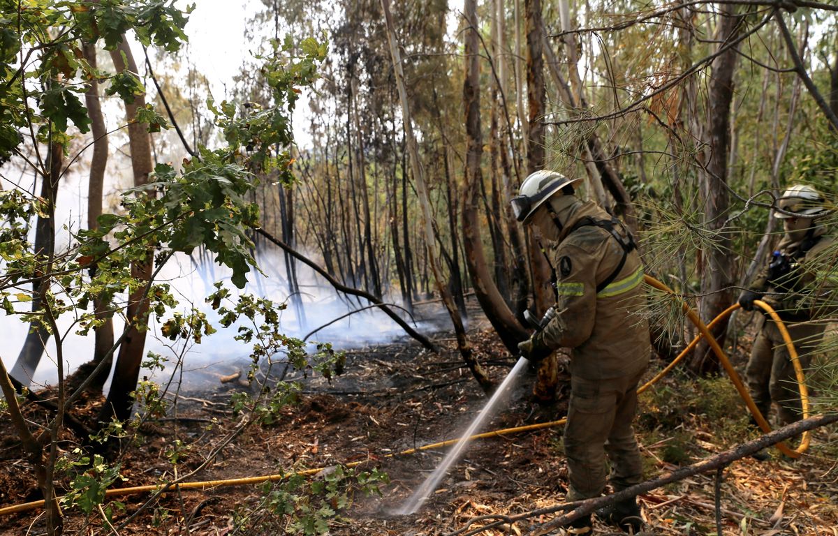 Incendies au Portugal : Un pompier meurt en combattant les flammes