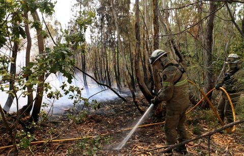 Un pompier meurt, quatrième victime des incendies au Portugal