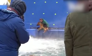 Un chien va être jeté de force dans une rivière artificielle pour les besoins d'un film.