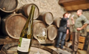 De plus en plus de clients achètent le muscadet directement chez le vigneron.