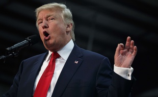 Donald Trump a entrepris de parler hindi pour séduire l'électorat américano-indien