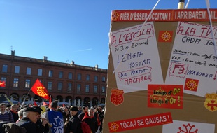Lors de la manifestation pour la défense de la langue occitane, dimanche 17 janvier à Toulouse.
