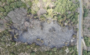 Le 11 avril, un nouveau feu a détruit 8.000 m2 de végétation dans les Cévennes.